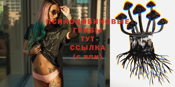 a pvp Баксан