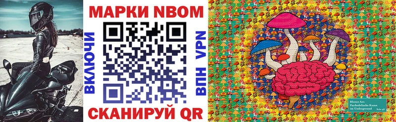 Купить закладки  Петровск-Забайкальский  Марки 25I-NBOMe 1,8мг 