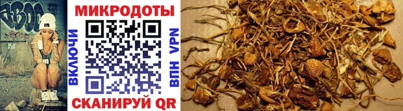 Купить закладки  Петровск-Забайкальский  Галлюциногенные грибы GOLDEN TEACHER 